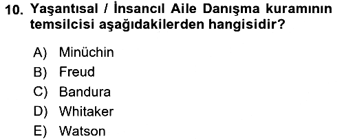 Anne Baba Eğitimi 2016-2017 Ara Sınav - 10. soru
