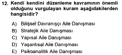 Anne Baba Eğitimi 2017-2018 Ara Sınav - 12. soru