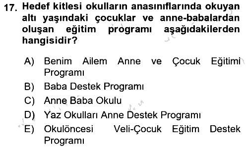 Anne Baba Eğitimi 2017-2018 Ara Sınav - 17. soru