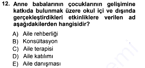 Anne Baba Eğitimi 2012-2013 Dönem Sonu Sınavı - 12. soru
