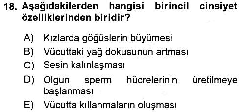 Anne Baba Eğitimi 2017-2018 Dönem Sonu Sınavı - 18. soru