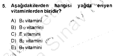 Anne Ve Çocuk Beslenmesi 2013-2014 Ara Sınav - 5. soru
