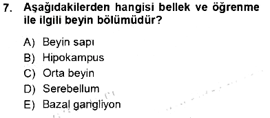 Çocuk Ruh Sağlığı 2012-2013 Ara Sınav - 7. soru
