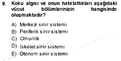 Çocuk Ruh Sağlığı 2013-2014 Ara Sınav - 9. soru