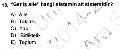 Çocuk Ruh Sağlığı 2014-2015 Ara Sınav - 18. soru