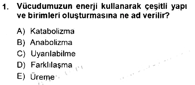 İnsan Anatomisi Ve Fizyolojisi 2012-2013 Ara Sınav - 1. soru