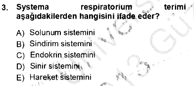 İnsan Anatomisi Ve Fizyolojisi 2012-2013 Ara Sınav - 3. soru