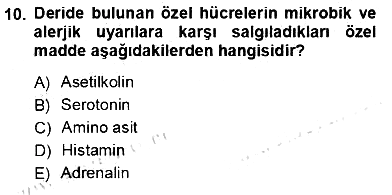 İnsan Anatomisi Ve Fizyolojisi 2012-2013 Ara Sınav - 10. soru