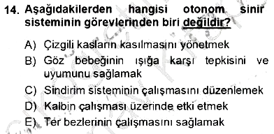 İnsan Anatomisi Ve Fizyolojisi 2012-2013 Ara Sınav - 14. soru