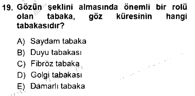 İnsan Anatomisi Ve Fizyolojisi 2012-2013 Ara Sınav - 19. soru