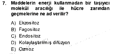 İnsan Anatomisi Ve Fizyolojisi 2013-2014 Ara Sınav - 7. soru