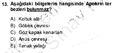 İnsan Anatomisi Ve Fizyolojisi 2013-2014 Ara Sınav - 13. soru