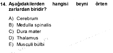 İnsan Anatomisi Ve Fizyolojisi 2013-2014 Ara Sınav - 14. soru