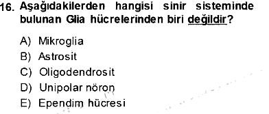 İnsan Anatomisi Ve Fizyolojisi 2013-2014 Ara Sınav - 16. soru