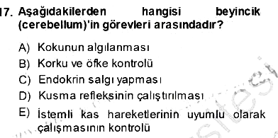 İnsan Anatomisi Ve Fizyolojisi 2013-2014 Ara Sınav - 17. soru