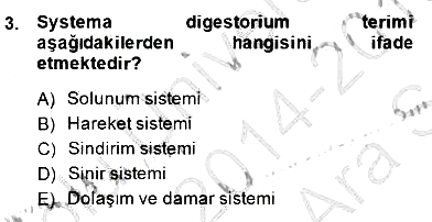 İnsan Anatomisi Ve Fizyolojisi 2014-2015 Ara Sınav - 3. soru