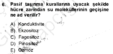 İnsan Anatomisi Ve Fizyolojisi 2014-2015 Ara Sınav - 6. soru