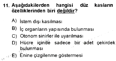 İnsan Anatomisi Ve Fizyolojisi 2014-2015 Ara Sınav - 11. soru