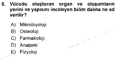 İnsan Anatomisi Ve Fizyolojisi 2015-2016 Ara Sınav - 5. soru