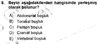 İnsan Anatomisi Ve Fizyolojisi 2015-2016 Ara Sınav - 8. soru
