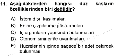 İnsan Anatomisi Ve Fizyolojisi 2015-2016 Ara Sınav - 11. soru