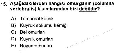 İnsan Anatomisi Ve Fizyolojisi 2015-2016 Ara Sınav - 15. soru