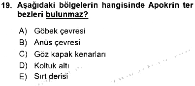İnsan Anatomisi Ve Fizyolojisi 2015-2016 Ara Sınav - 19. soru