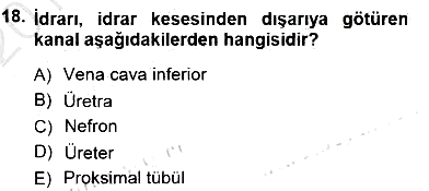 İnsan Anatomisi Ve Fizyolojisi 2012-2013 Dönem Sonu Sınavı - 18. soru