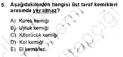 İnsan Anatomisi Ve Fizyolojisi 2014-2015 Dönem Sonu Sınavı - 5. soru
