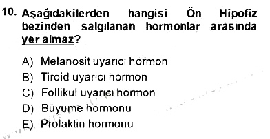 İnsan Anatomisi Ve Fizyolojisi 2014-2015 Dönem Sonu Sınavı - 10. soru
