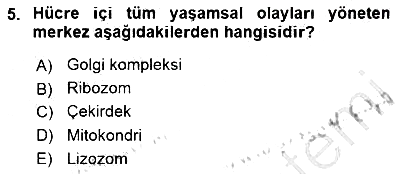 İnsan Anatomisi Ve Fizyolojisi 2015-2016 Dönem Sonu Sınavı - 5. soru