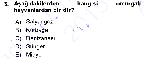Okulöncesinde Fen Eğitimi 2015-2016 Ara Sınav - 3. soru