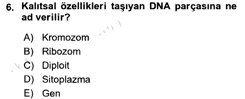 Okulöncesinde Fen Eğitimi 2016-2017 Ara Sınav - 6. soru