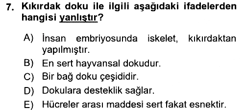 Okulöncesinde Fen Eğitimi 2017-2018 Ara Sınav - 7. soru