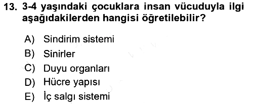 Okulöncesinde Fen Eğitimi 2017-2018 Dönem Sonu Sınavı - 13. soru