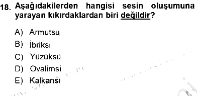 Okulöncesinde Müzik Eğitimi 1 2013-2014 Ara Sınav - 18. soru