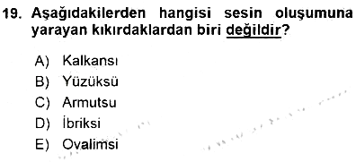 Okulöncesinde Müzik Eğitimi 1 2015-2016 Ara Sınav - 19. soru