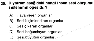 Okulöncesinde Müzik Eğitimi 1 2015-2016 Ara Sınav - 20. soru