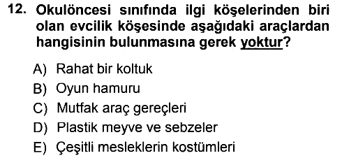 Okulöncesinde Yaratıcılık 2013-2014 Ara Sınav - 12. soru