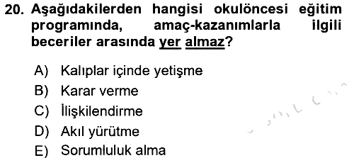 Okulöncesinde Yaratıcılık 2016-2017 Ara Sınav - 20. soru
