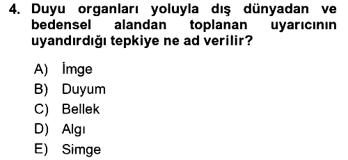 Okulöncesinde Yaratıcılık 2015-2016 Dönem Sonu Sınavı - 4. soru