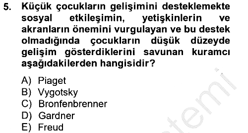 Özel Öğretim Yöntemleri 2 2012-2013 Dönem Sonu Sınavı - 5. soru