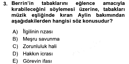 Ceza Hukukuna Giriş 2017-2018 3 Ders Sınavı - 3. soru