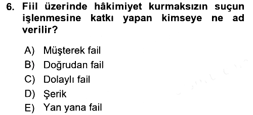 Ceza Hukukuna Giriş 2017-2018 3 Ders Sınavı - 6. soru