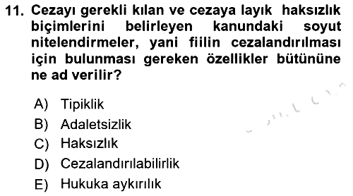 Ceza Hukukuna Giriş 2021-2022 Ara Sınav - 11. soru