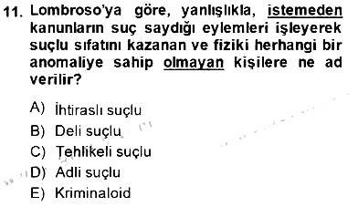 Kriminoloji 2014-2015 Ara Sınav - 11. soru