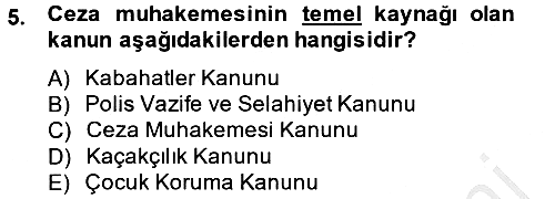 Temel Ceza Muhakemesi Hukuku Bilgisi 2012-2013 Ara Sınav - 5. soru