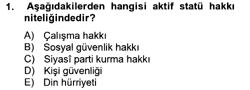 Temel İnsan Hakları Bilgisi 2 2012-2013 Dönem Sonu Sınavı - 1. soru