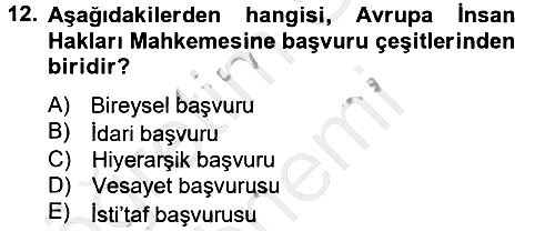 Temel İnsan Hakları Bilgisi 2 2012-2013 Dönem Sonu Sınavı - 12. soru