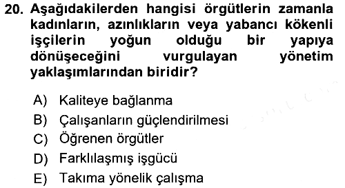 Organizasyonlarda Davranış 2015-2016 Ara Sınav - 20. soru